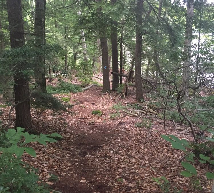 Trail Walk/Chili Lunch  